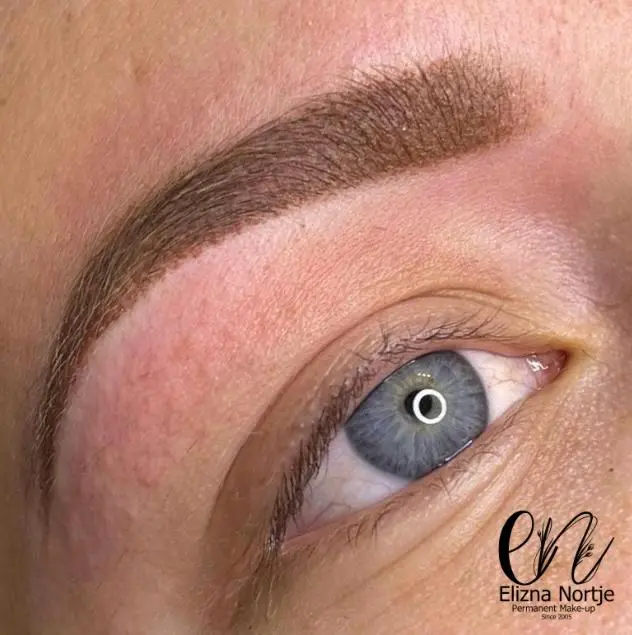Well-defined ombré brows showing natural shading effect.