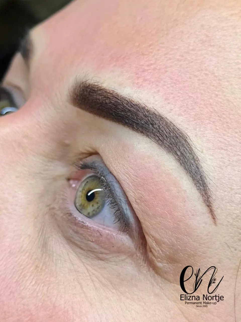 Healed microblading brows showing crisp strokes and soft shading.